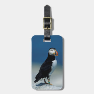 Etiqueta Para Maletas Retrato de un ataúd atlántico