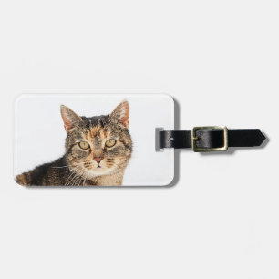 Etiqueta Para Maletas Retrato de un gato