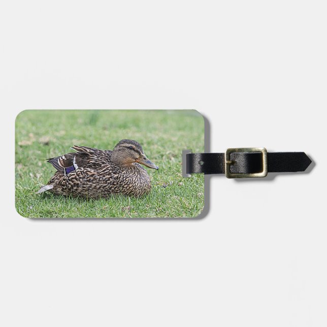 Etiqueta Para Maletas Retrato de un mallard femenino (Frente Horizontal)