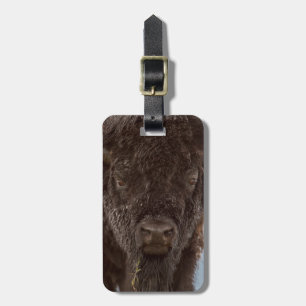 Etiqueta Para Maletas Retrato De Un Toro De Bison En Lluvia