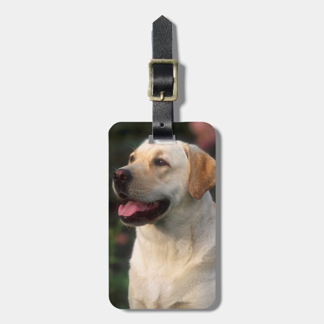 Etiqueta Para Maletas Retrato del labrador retriever, Hilton (Frente Vertical)