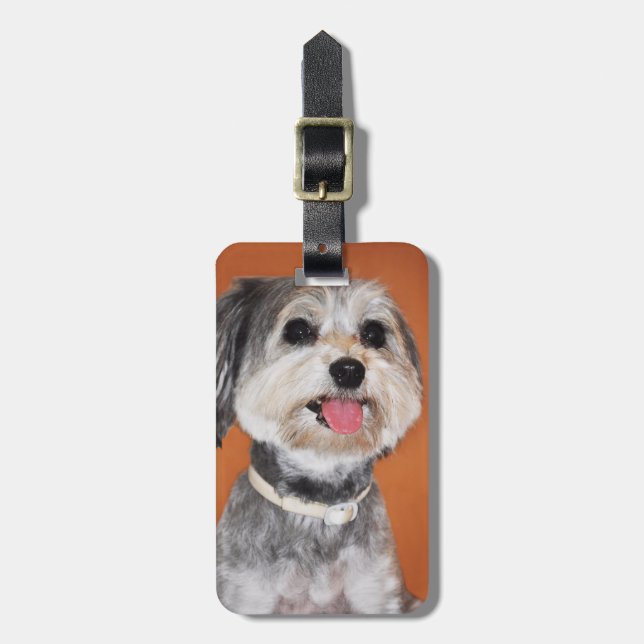 Etiqueta Para Maletas Retrato del perro de Havanese (Frente Vertical)