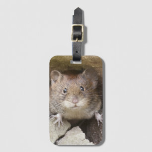 Etiqueta Para Maletas Retrato del ratón