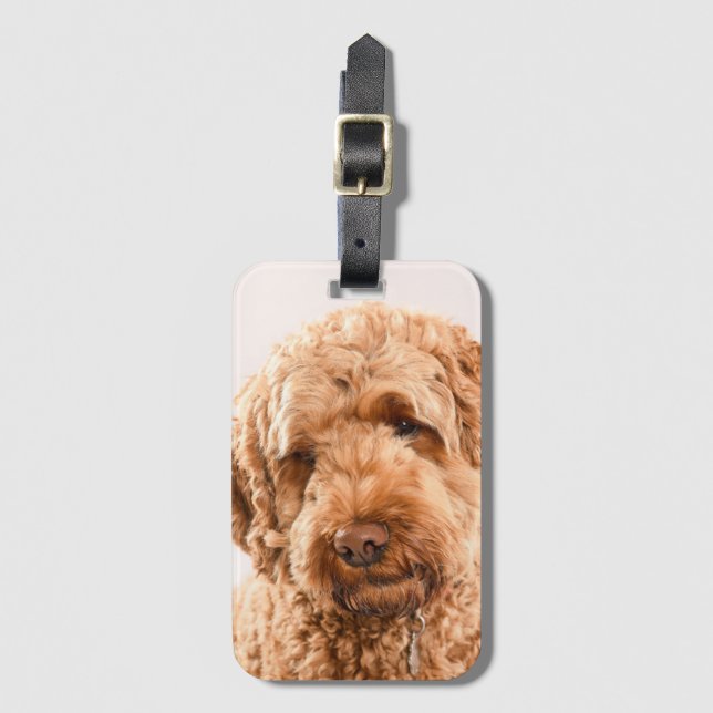 Etiqueta Para Maletas Retrato Goldendoodle Studio (Anverso vertical)