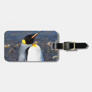 Etiqueta Para Maletas Retrato pingüino