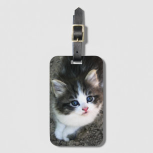 Etiqueta Para Maletas Retrato SUPER CUTE Kitten