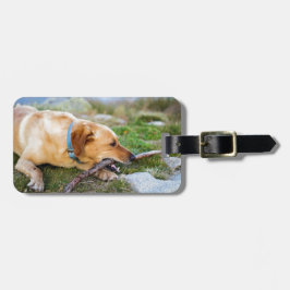 Etiqueta Para Maletas Retriever con palo