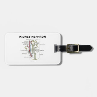 Etiqueta Para Maletas Riñón Nephron (libro de texto de la anatomía del