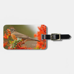 Etiqueta Para Maletas Robin estadounidense con una Pyracantha Pomme