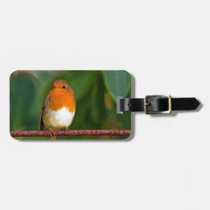 Etiqueta Para Maletas Robin navidades