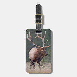 Etiqueta Para Maletas Rocky Mountain Elk