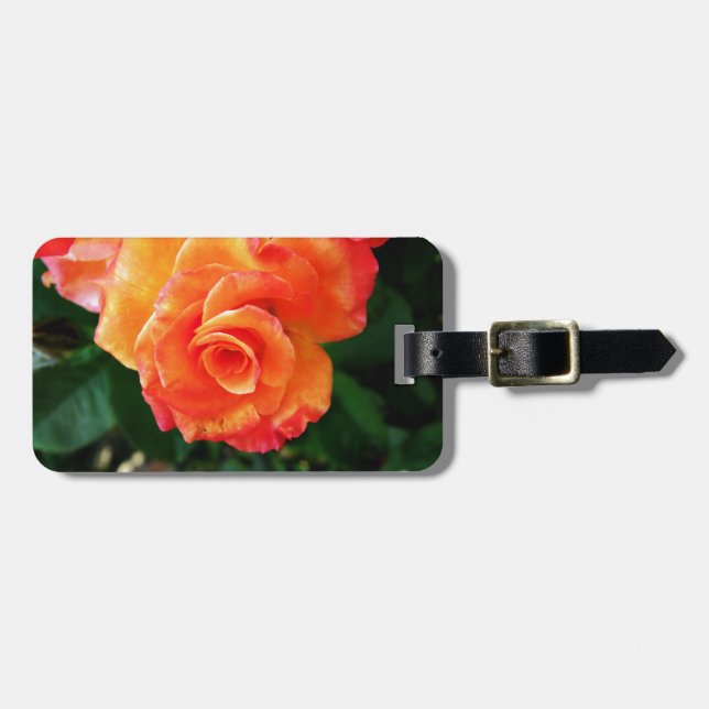Etiqueta Para Maletas Rosa anaranjada (Frente Horizontal)