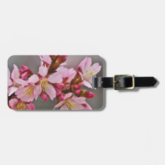 Etiqueta Para Maletas Rosa Contra Un Cielo Gris Flor De Cerezo Japonesa