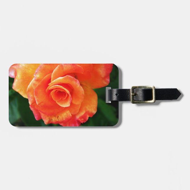 Etiqueta Para Maletas Rosa naranja (Frente Horizontal)
