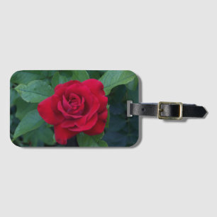 Etiqueta Para Maletas Rosa Roja de Cerca