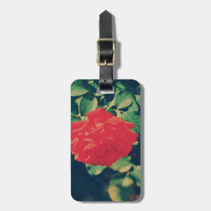 Etiqueta Para Maletas Rosa rojo