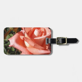 Etiqueta Para Maletas Rosa Rosa Melocotón