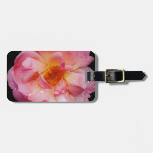 Etiqueta Para Maletas Rosa rosada con Dew Drogas fondo negro