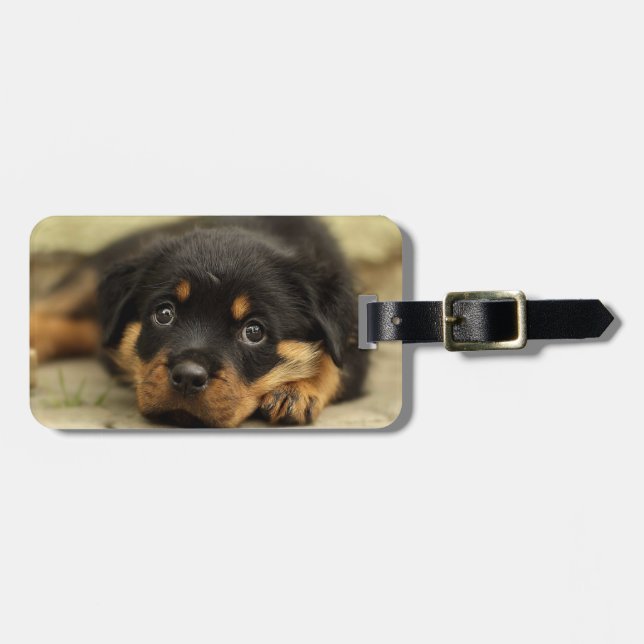 Etiqueta Para Maletas Rottweiler20150901 (Frente Horizontal)