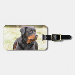 Etiqueta Para Maletas Rottweiler Dog