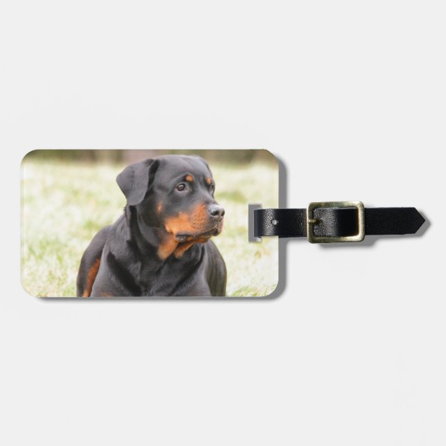 Etiqueta Para Maletas Rottweiler Dog (Frente Horizontal)