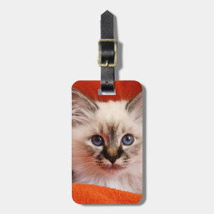 Etiqueta Para Maletas Sagrado Gatito Birman