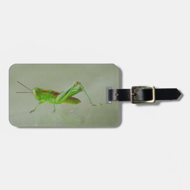 Etiqueta Para Maletas Saltamontes verde (Frente Horizontal)