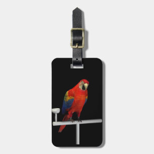 Etiqueta Para Maletas Scarlet Macaw