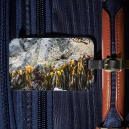 Etiqueta Para Maletas Sello De Piel Joven En La Roca