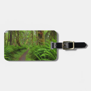 Etiqueta Para Maletas sendero Maple Glade, helechos y musgo cubierto