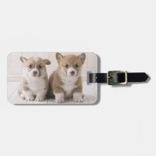 Etiqueta Para Maletas Sentada del Corgi de dos Galés