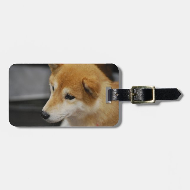 Etiqueta Para Maletas shiba-inu-2.jpg (Frente Horizontal)