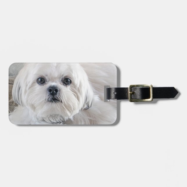 Etiqueta Para Maletas Shih Tzu (Frente Horizontal)