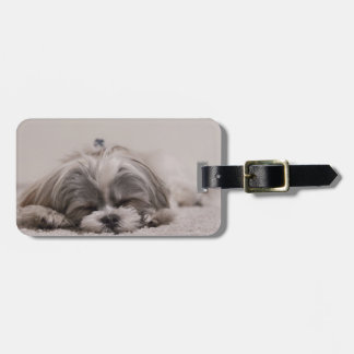 Etiqueta Para Maletas Shih tzu Sleeping Lumaleta Tag , Perro durmiendo