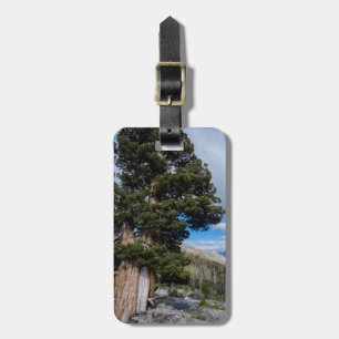Etiqueta Para Maletas Sierra Juniper y árboles de hoja perenne 2