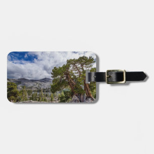 Etiqueta Para Maletas Sierra Juniper y Árboles Eververdes