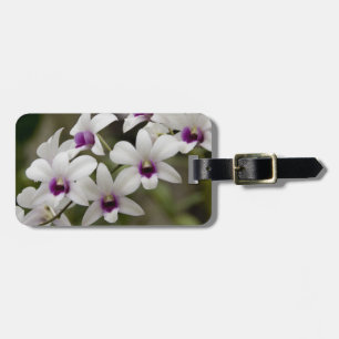 Etiqueta Para Maletas Singapur (Sanskrit por Ciudad León). Nacional 2