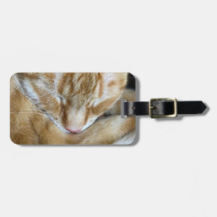 Etiqueta Para Maletas Sleeping naranja tabby cat