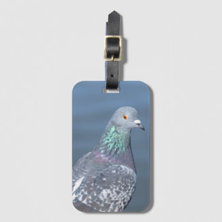 Etiqueta Para Maletas Socio Pigeon