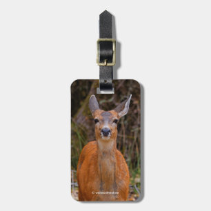 Etiqueta Para Maletas Sonrisas de ciervo de cola negra joven y graciosa 