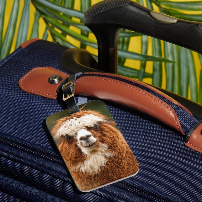 Etiqueta Para Maletas Sonrisas de la alpaca (Anverso In situ 1)