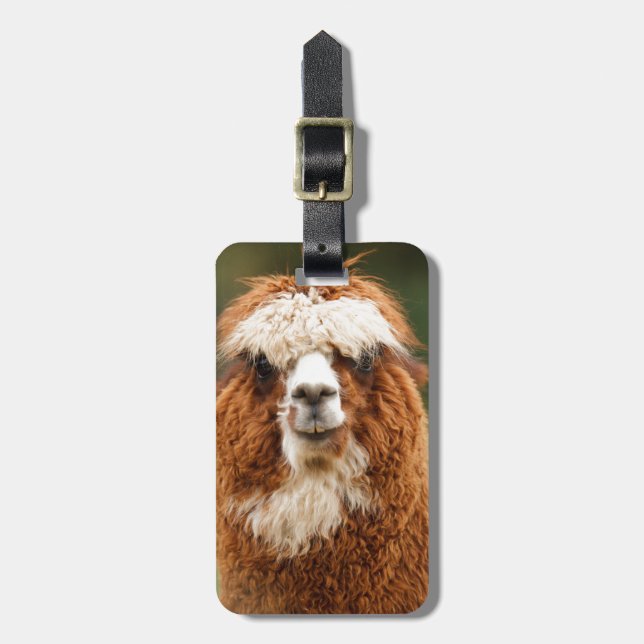 Etiqueta Para Maletas Sonrisas de la alpaca (Frente Vertical)