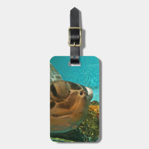 Etiqueta Para Maletas Sorpresa de la tortuga de mar