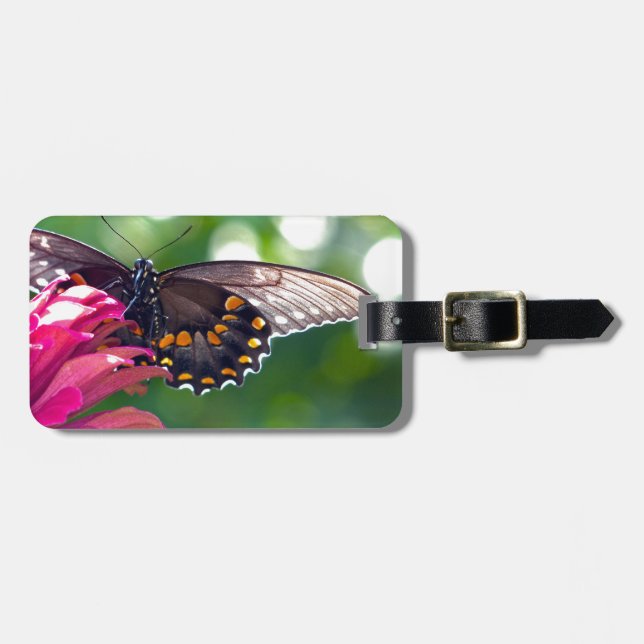 Etiqueta Para Maletas Spicebush Swallowtail (Frente Horizontal)