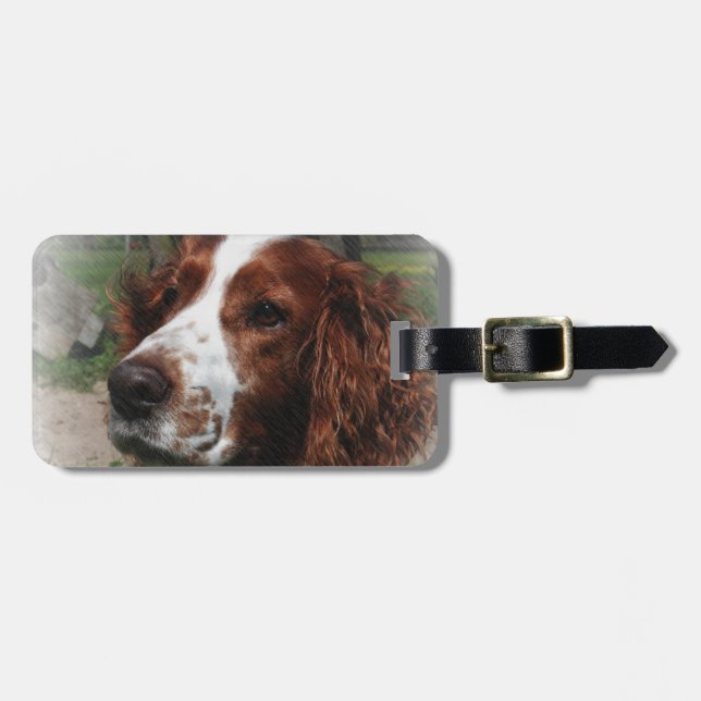 Etiqueta Para Maletas Springer Spaniel Dog Art (Frente Horizontal)