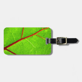 Etiqueta Para Maletas St Thomas 1