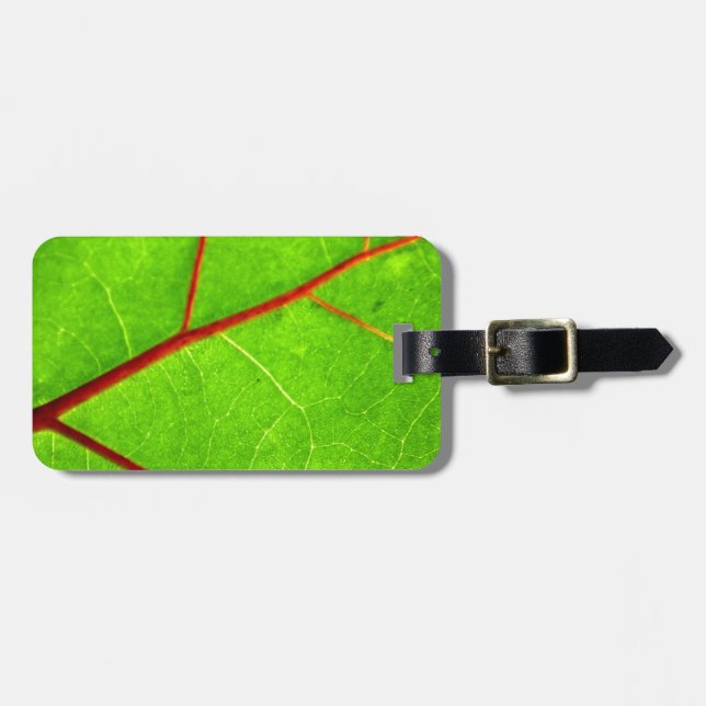 Etiqueta Para Maletas St Thomas 1 (Frente Horizontal)