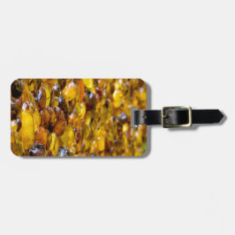 Etiqueta Para Maletas St Thomas 2