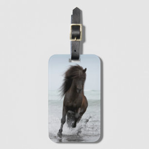 Etiqueta Para Maletas Stallion corriendo sobre la playa Atlántico Norte