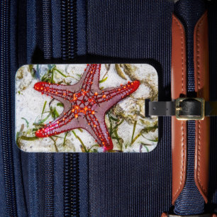Etiqueta Para Maletas Starfish, Zanzíbar, Tanzania